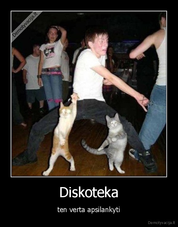 Diskoteka