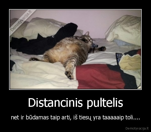 Distancinis pultelis