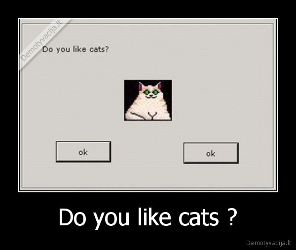 Do you like cats ?