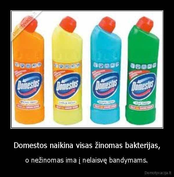 Domestos naikina visas žinomas bakterijas,