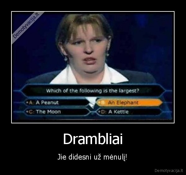 Drambliai