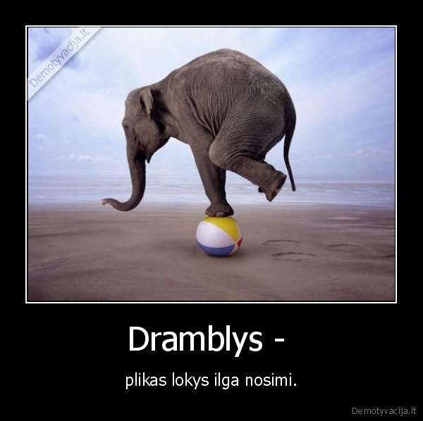 Dramblys - 