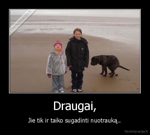 draugai,suo