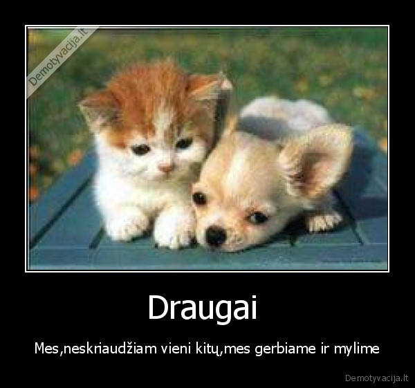 draugyste