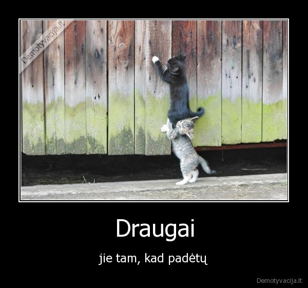 Draugai