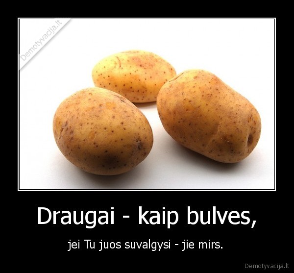 bulves, draugai, cepelinai, alus