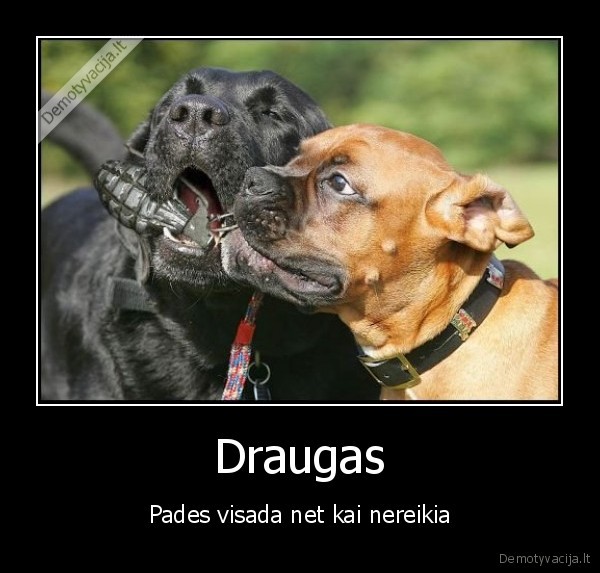 Draugas