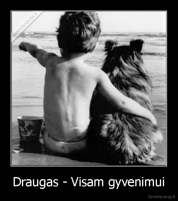 Draugas - Visam gyvenimui