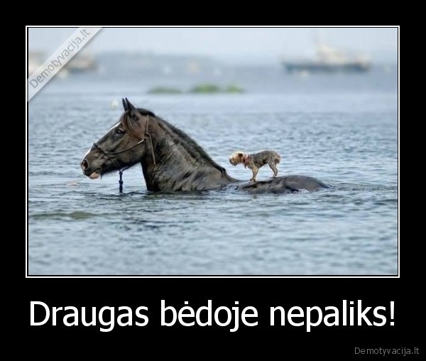 Draugas bėdoje nepaliks!