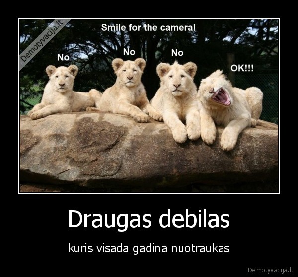 Draugas debilas