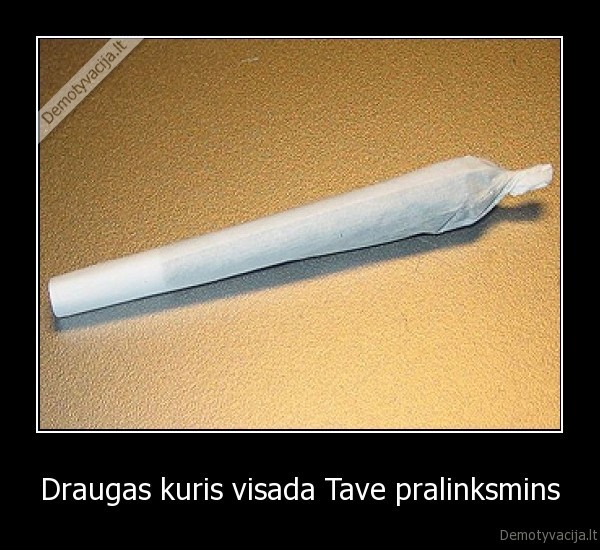 haha,svelnus,dumas,kasekas