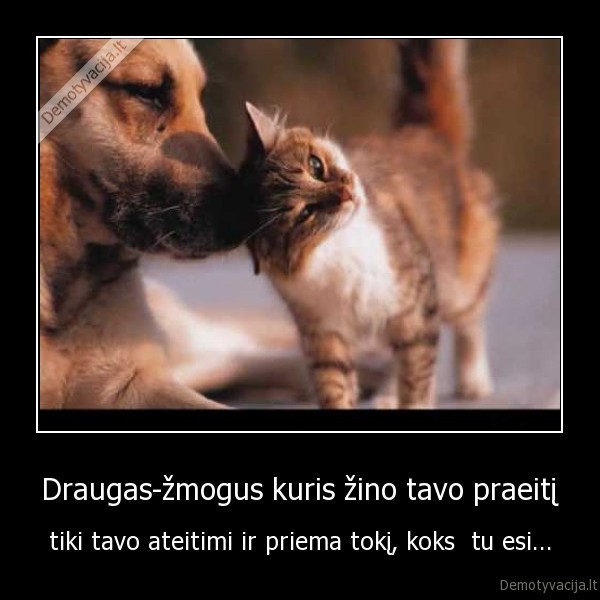 Draugas-žmogus kuris žino tavo praeitį