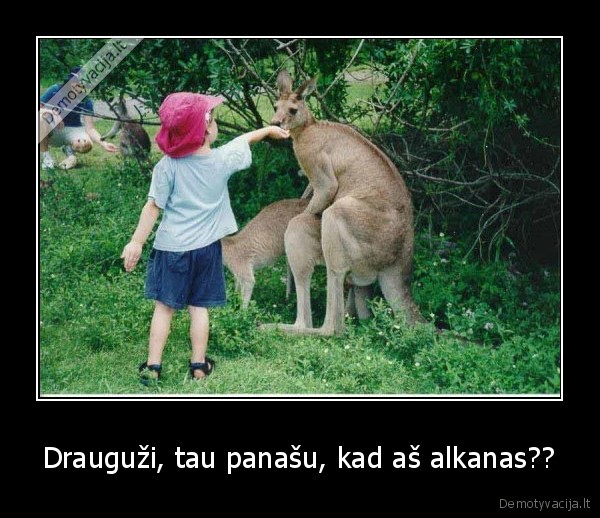 Drauguži, tau panašu, kad aš alkanas??