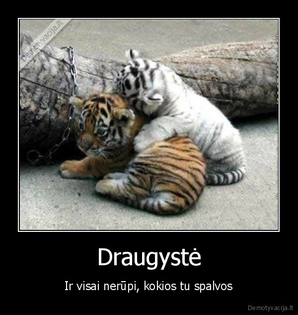 Draugystė