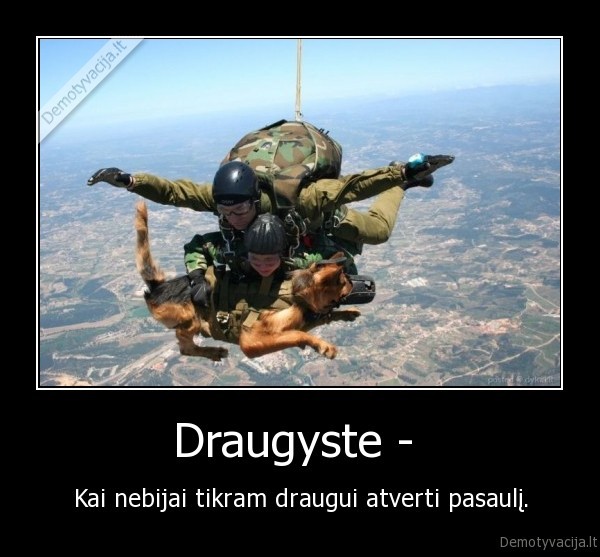 Draugyste - 