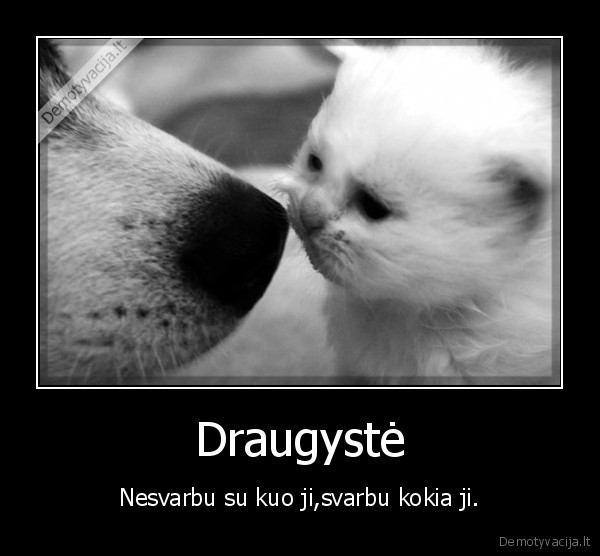 Draugystė