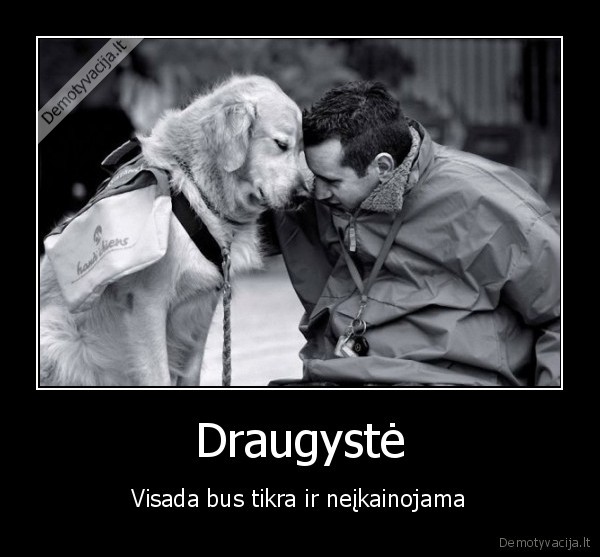 Draugystė