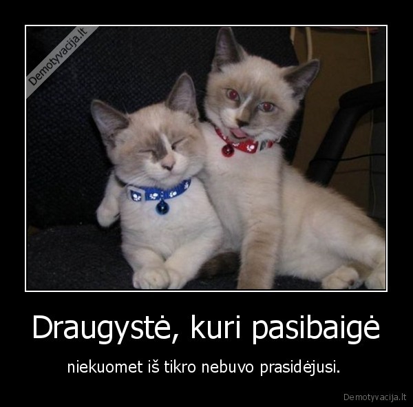 Draugystė, kuri pasibaigė