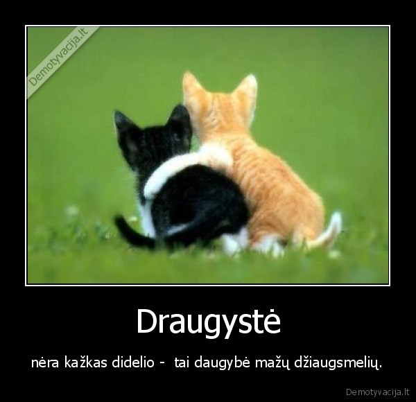 Draugystė