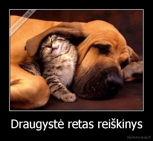 Draugystė retas reiškinys