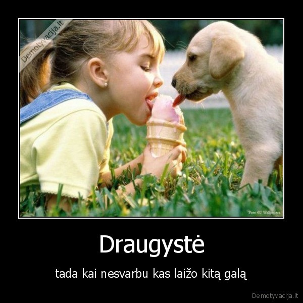 Draugystė