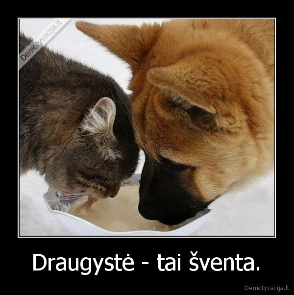 Draugystė - tai šventa.