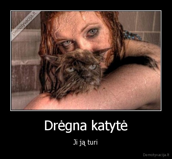 Drėgna katytė