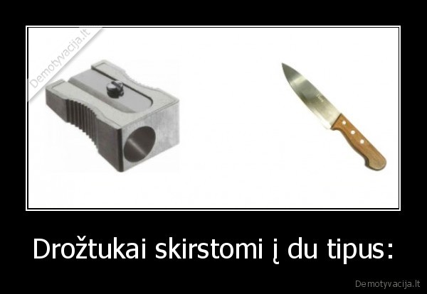 Drožtukai skirstomi į du tipus: