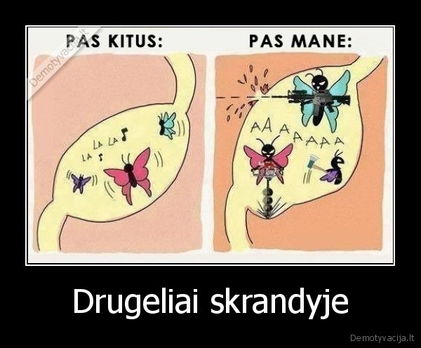 drugeliai,skrandis