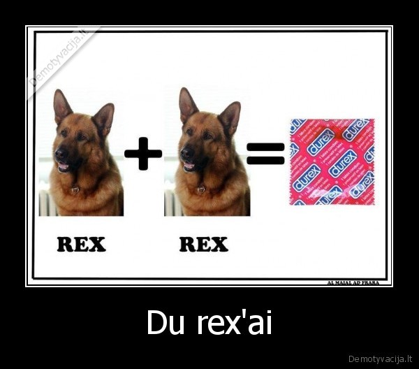 Du rex'ai