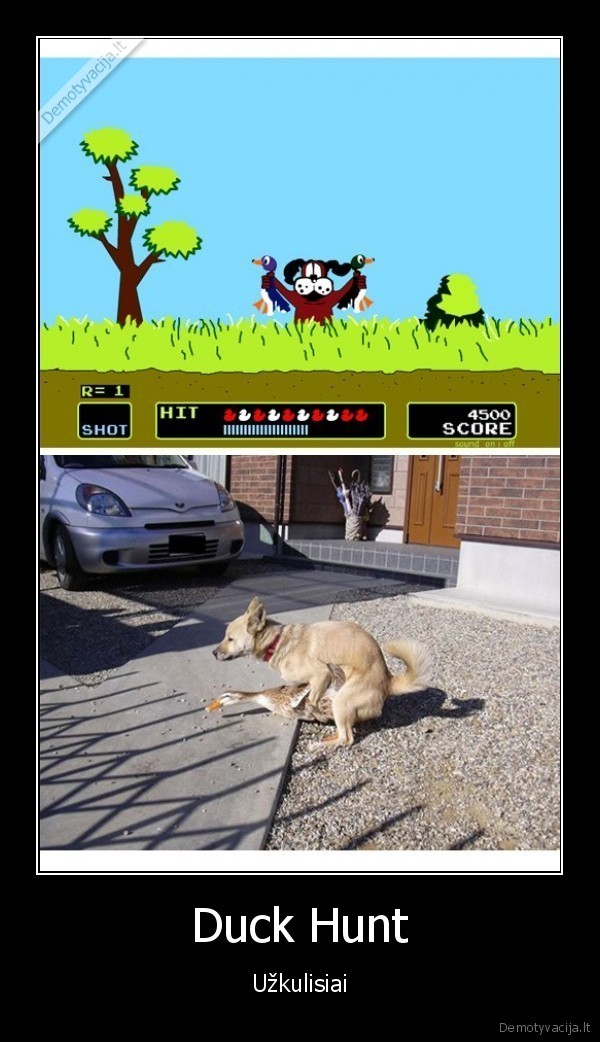 Duck Hunt