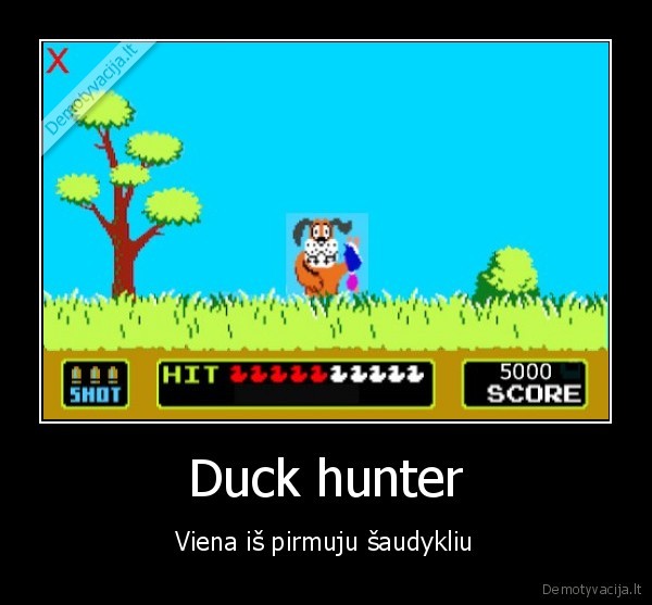 Duck hunter