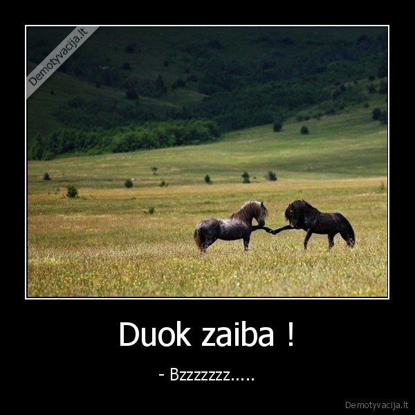 Duok zaiba !