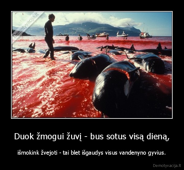 Duok žmogui žuvį - bus sotus visą dieną,