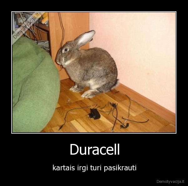 duracell,triusis