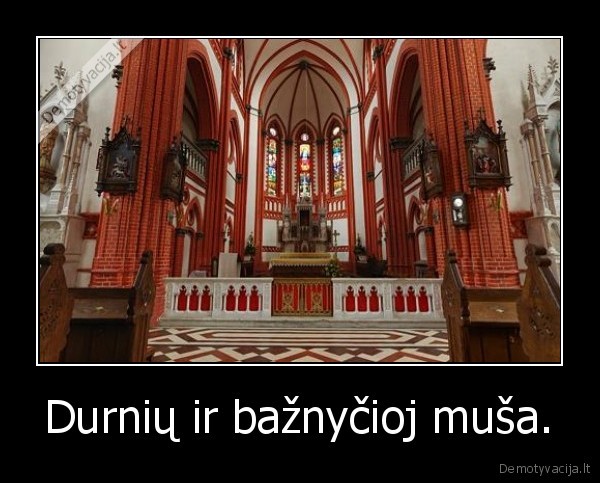 Durnių ir bažnyčioj muša.