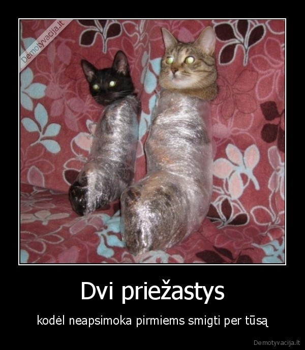 Dvi priežastys