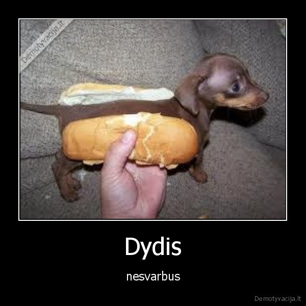 Dydis