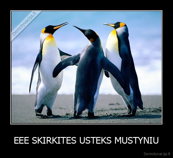 EEE SKIRKITES USTEKS MUSTYNIU