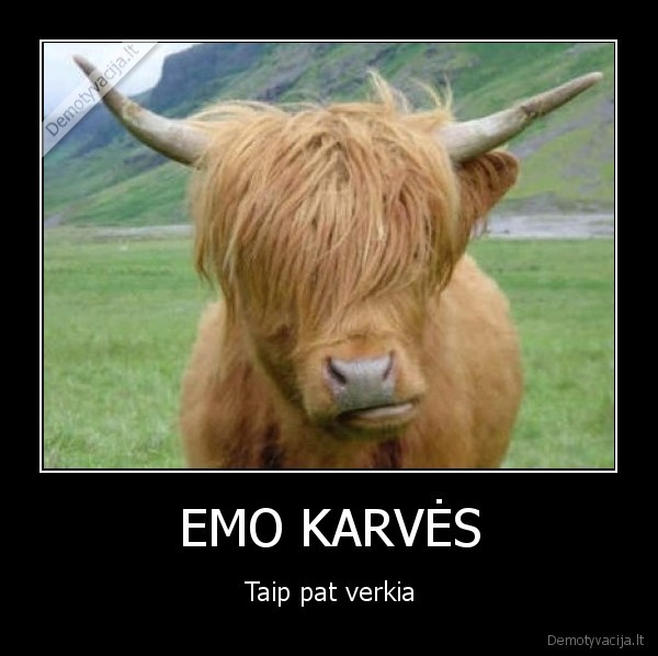 EMO KARVĖS