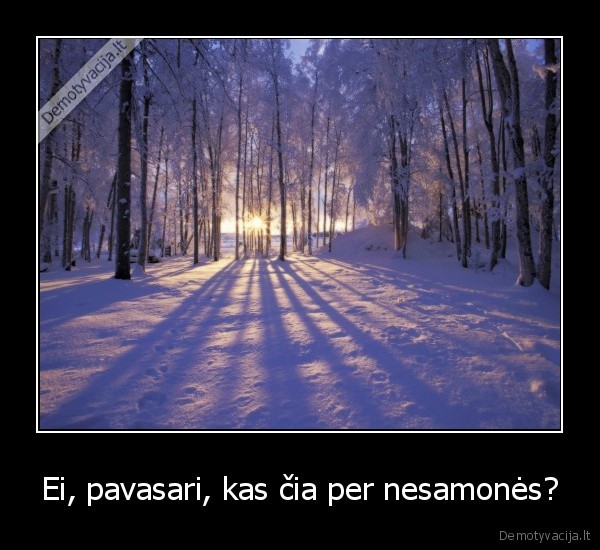 Ei, pavasari, kas čia per nesamonės?