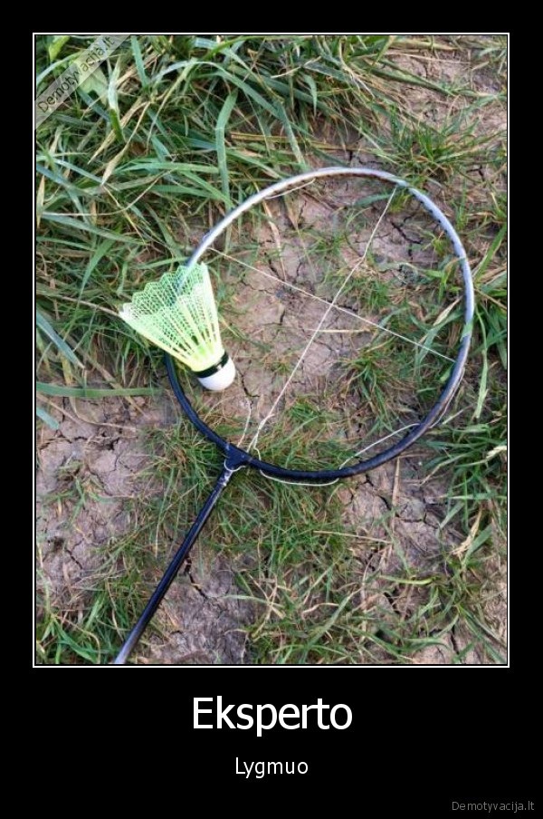 badmintonas,rakete
