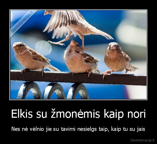 Elkis su žmonėmis kaip nori