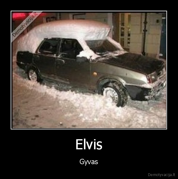 Elvis