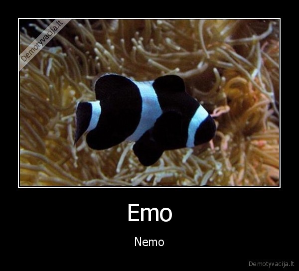 emo,gotas,zuviukas, nemo