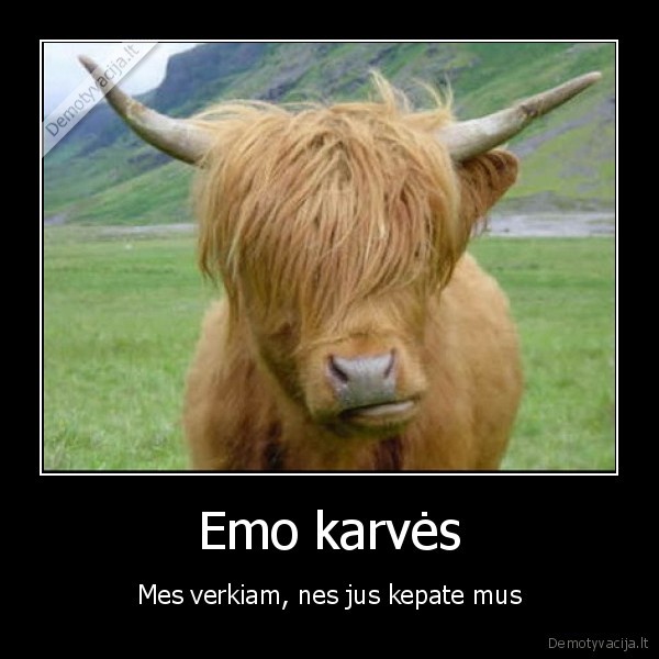 Emo karvės