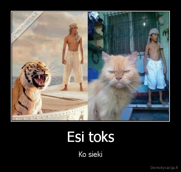 Esi toks