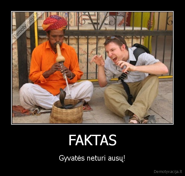 FAKTAS