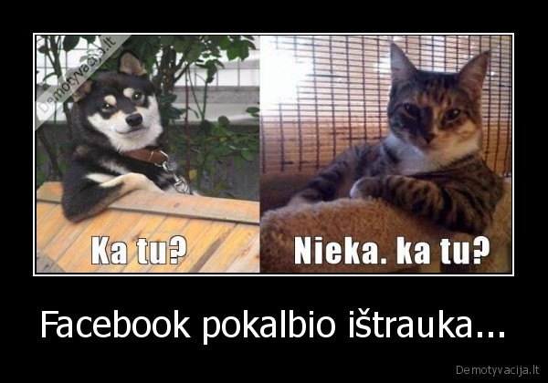 Facebook pokalbio ištrauka...