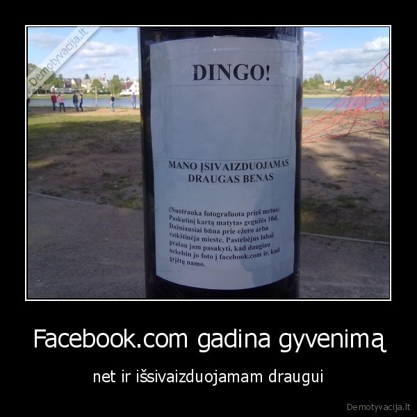 utena,dingo,facebook,gyvenima,draugui,gadina